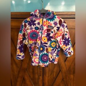 Patagonia Synchilla Fleece Jacket